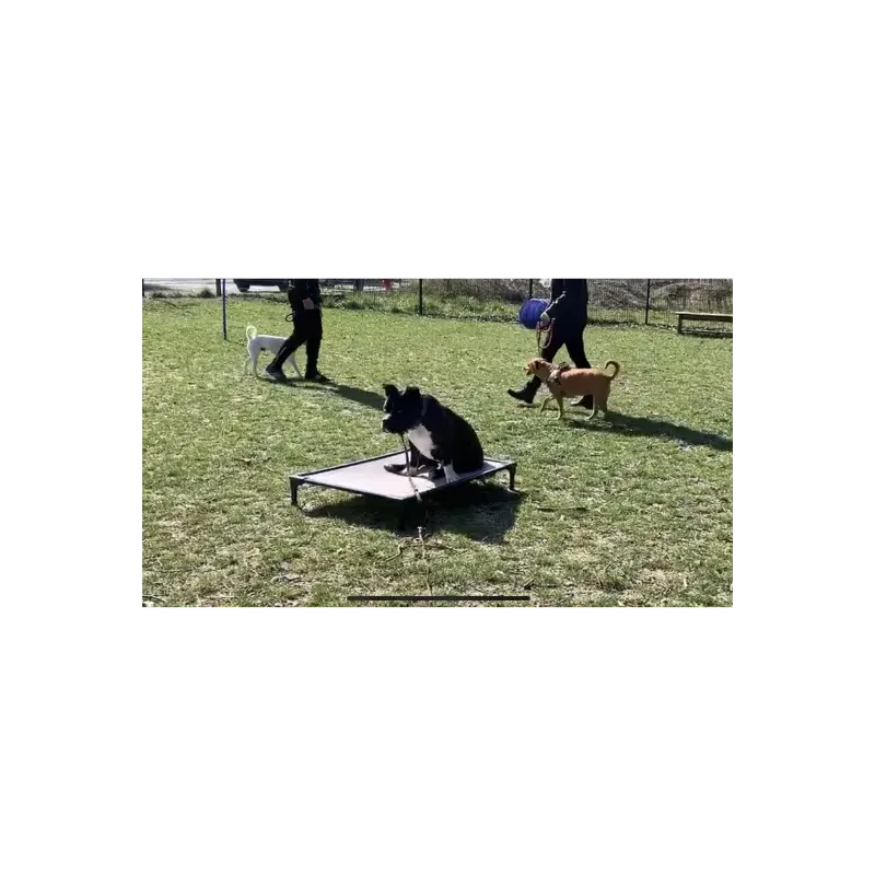 DOG BED LARGE 99 Cm X 69 Cm