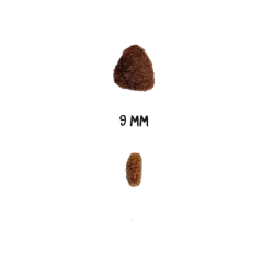 OWNAT CLASSIC KITTEN - chaton