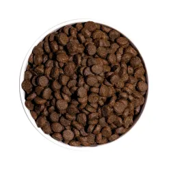 Concoctées avec + 50% de poulet frais et de dinde fraîche ainsi que 41% de protéines