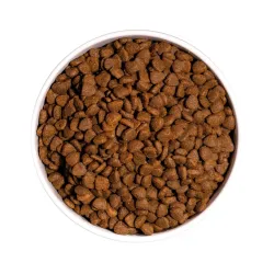 OWNAT - Croquette poulet sans céréales poulet chat adulte