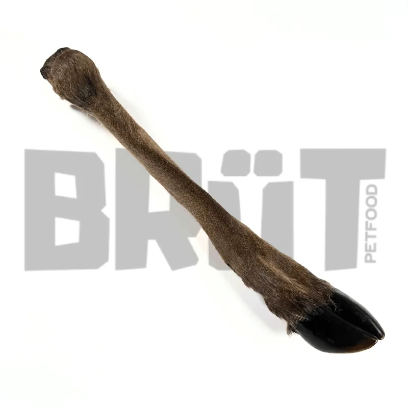 Jambe de chevreuil avec poils BRÜT - friandises saines et délicieuses pour chiens