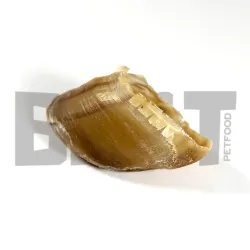 Sabots de Bœuf friandise pour chien 100% naturels