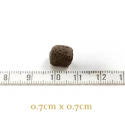 THE BEGINNING PETIT CHIEN 2,5 Kg