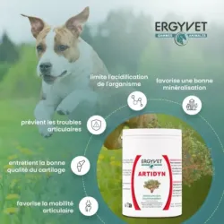 Ergyvet Artidyn 110g