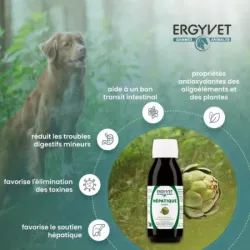 Ergyvet Hépatique 100 ml