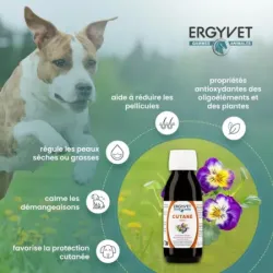 Ergyvet Cutané 100 ml