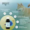 ERGYVET Oligodyn 100 ml
