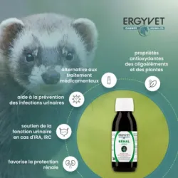 Ergyvet Rénal 100 ml