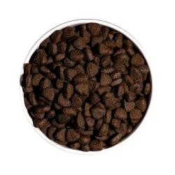 OWNAT GF JUST ADULT SALMON & SEAFOOD - chien