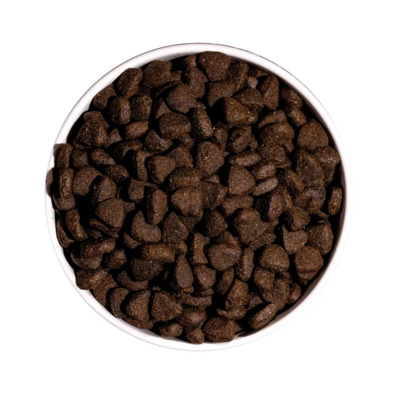 OWNAT GF JUST ADULT SALMON & SEAFOOD - chien