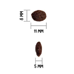 OWNAT GF PRIME ADULT CHICKEN&TURKEY - Pour chats adultes