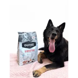 OWNAT CARE DIGESTIVE 3KG (DOG)