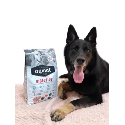 OWNAT CARE DIGESTIVE 3KG (DOG)