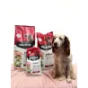 OWNAT CLASSIC COMPLET - Croquettes pour toutes races de chiens adultes