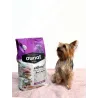 OWNAT CLASSIC MINI ADULT - chien