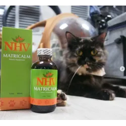 Matricalm pour chats