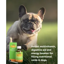 Multi Essentials pour chiens